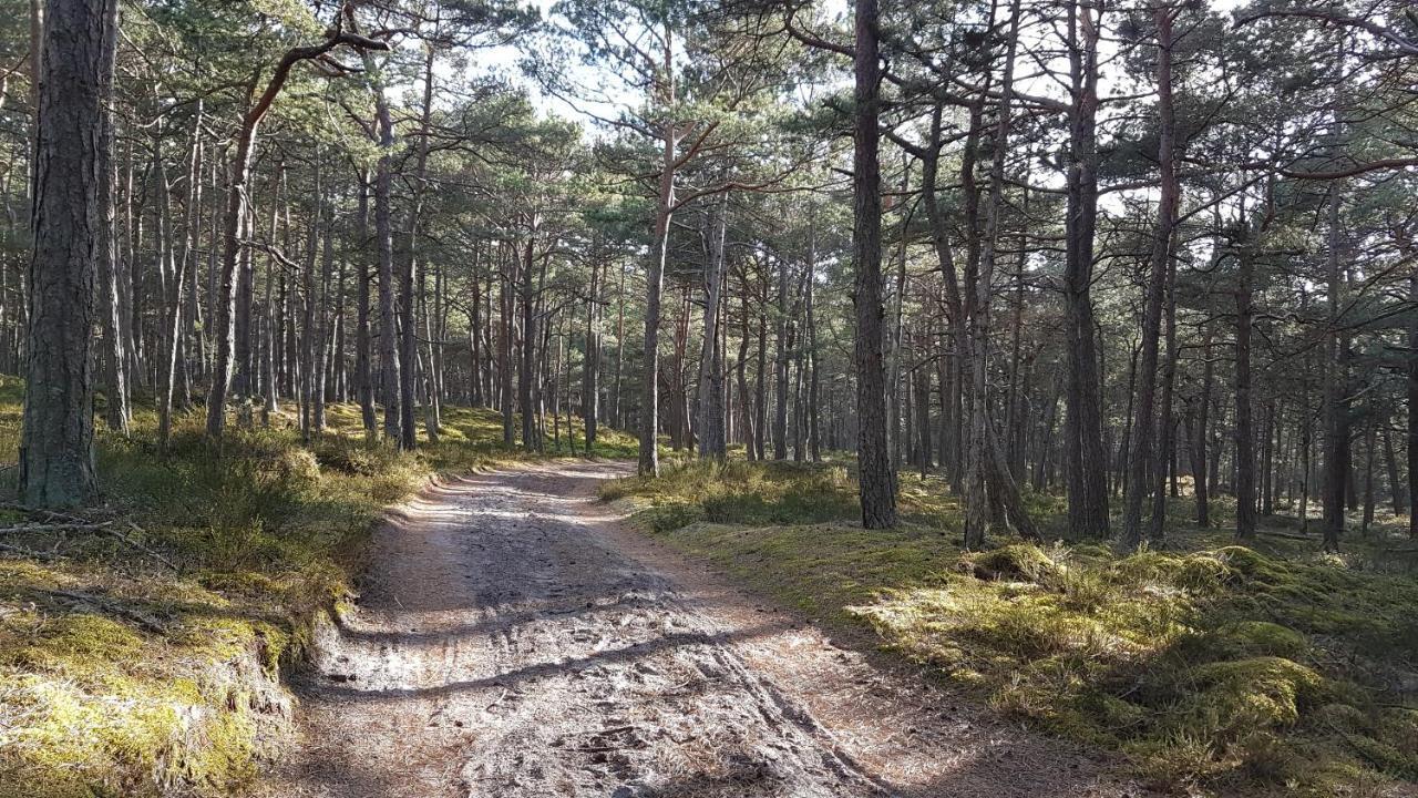 Homebaltic ليبا المظهر الخارجي الصورة